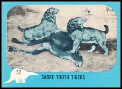 52 Sabre Tooth Tigers